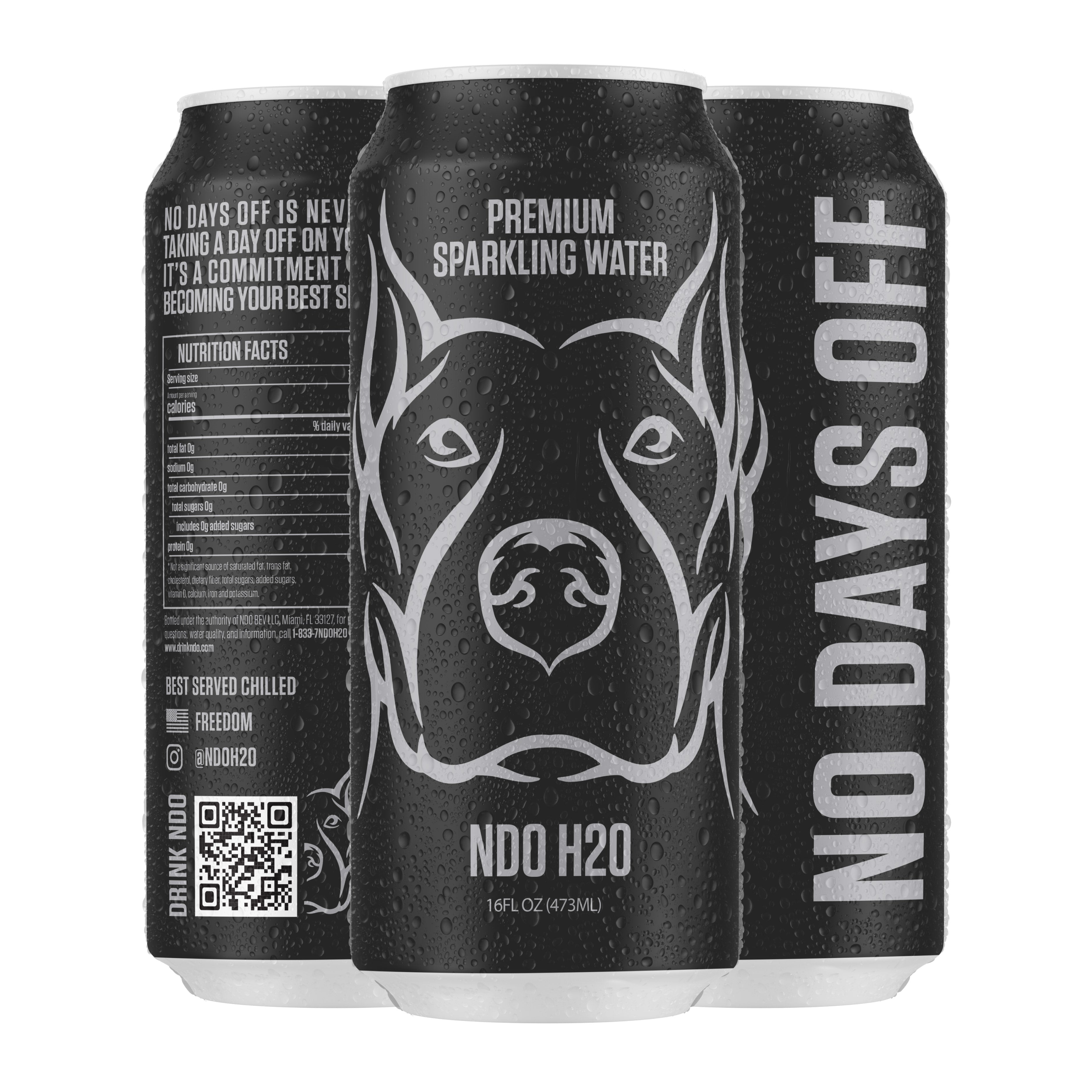 Ndo Water NO DAYS OFF Premium Water 12 Pack | NDO H2O