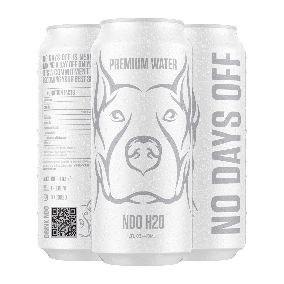 Ndo Water NO DAYS OFF Premium Water 12 Pack | NDO H2O