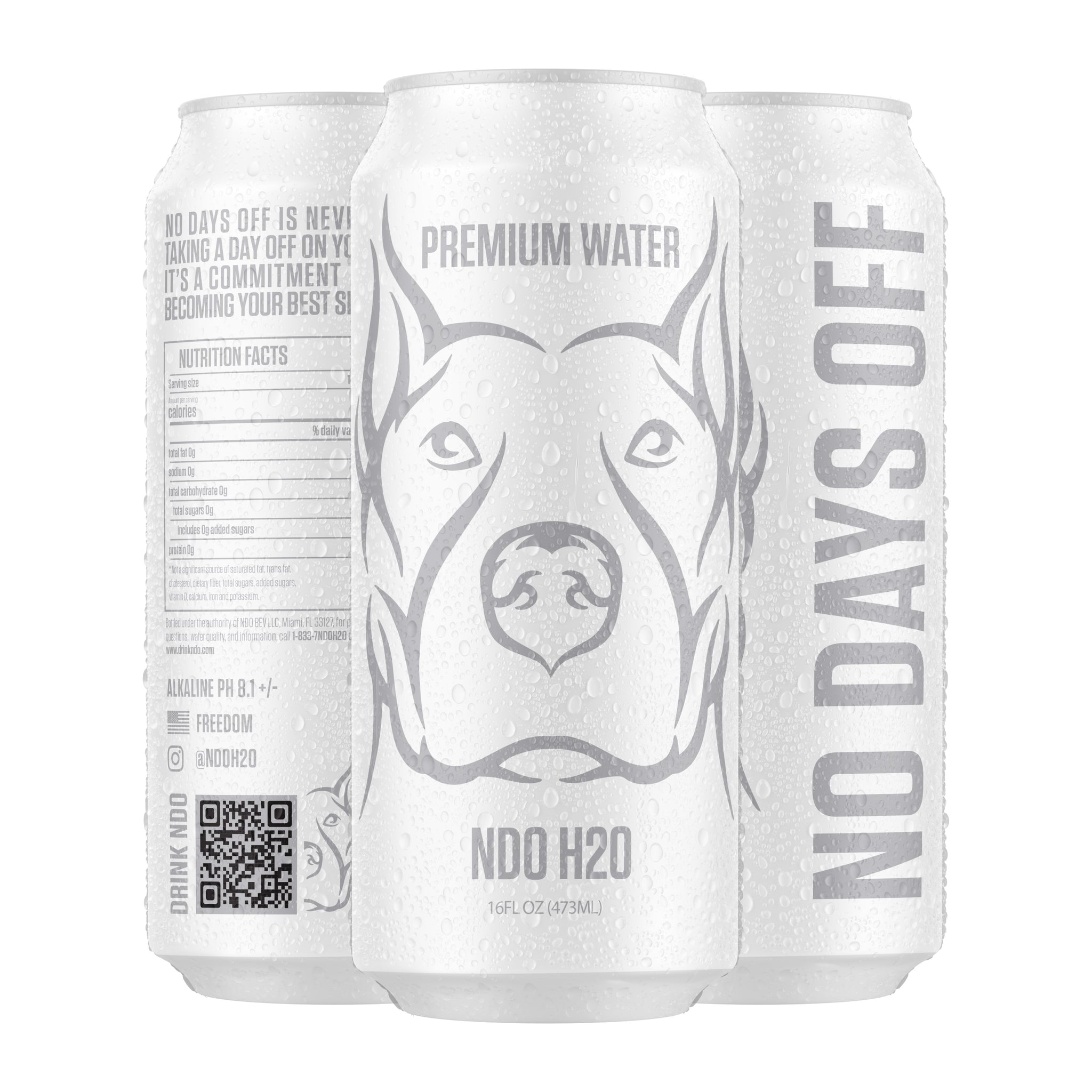 NO DAYS OFF Premium Water 12 Pack | NDO H2O