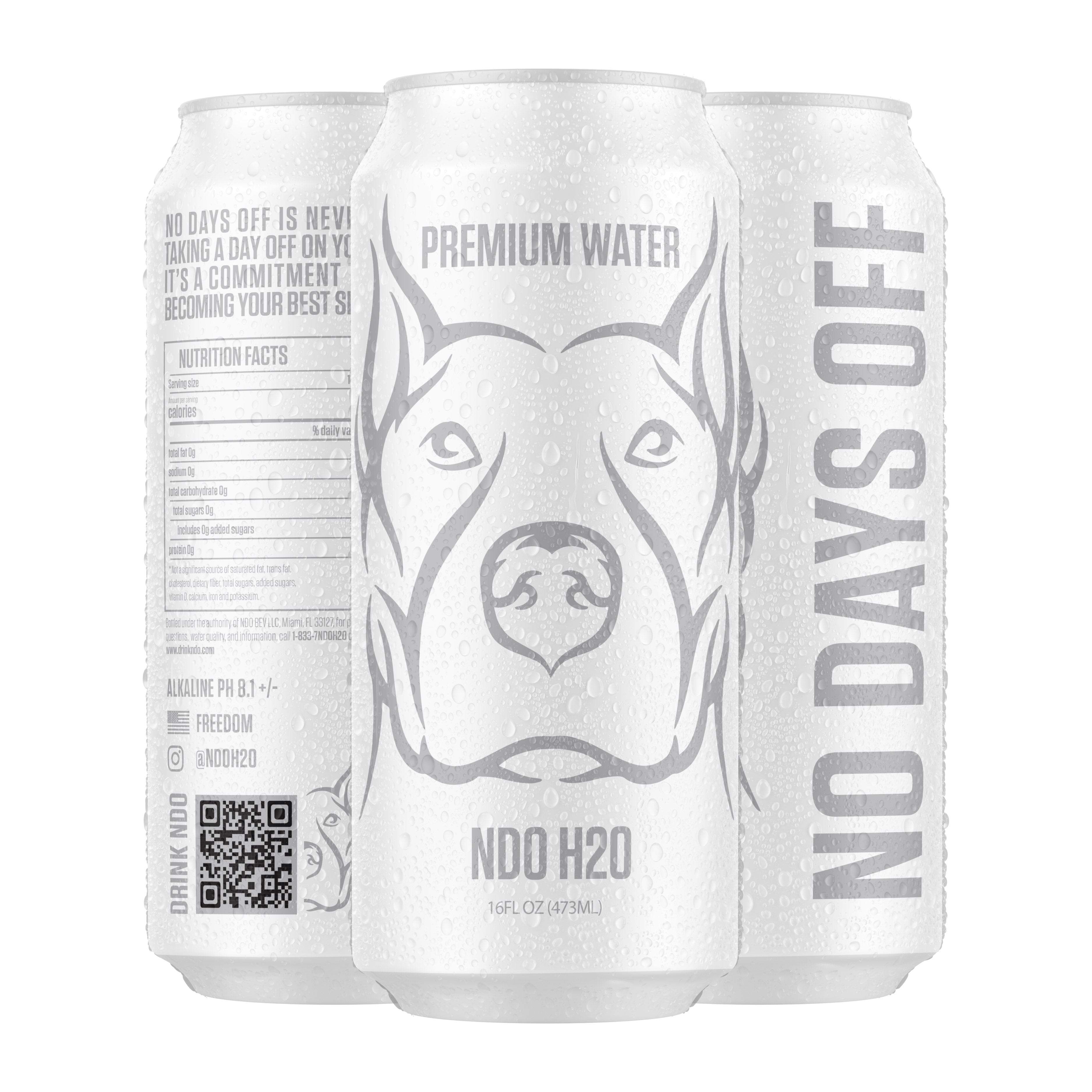 NO DAYS OFF Premium Water 12 Pack | NDO H2O