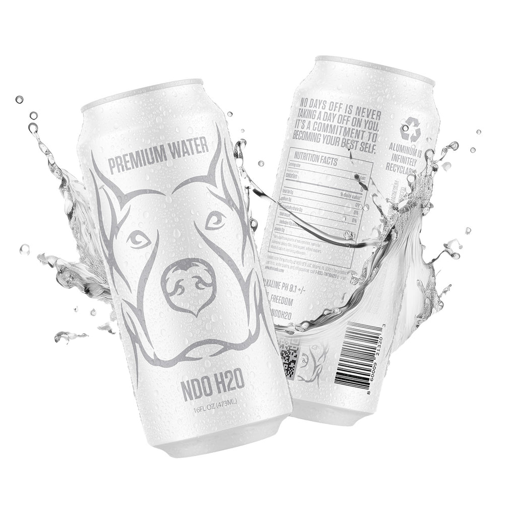 Ndo Water NO DAYS OFF Premium Water 12 Pack | NDO H2O